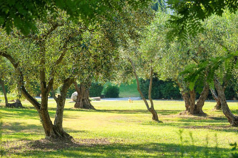 Ghotels Athos Palace Kallithea  エクステリア 写真